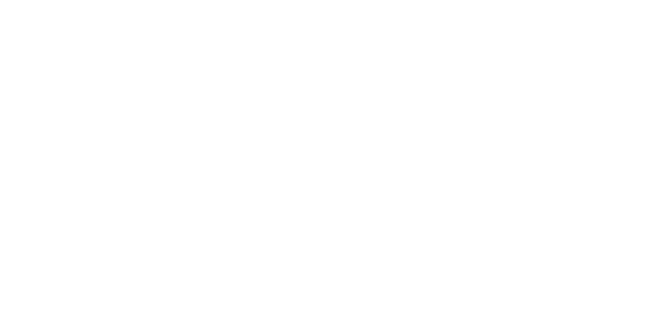 Right Car Choice